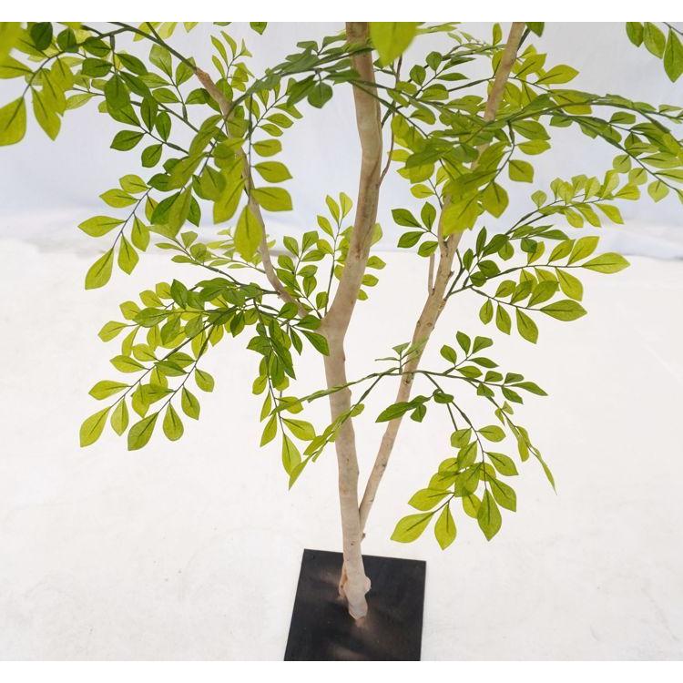 シマトネリコ　約150cm 若葉色 シマトネリコ 150cm (造花 人工観葉植物 モクセイ科 和風
