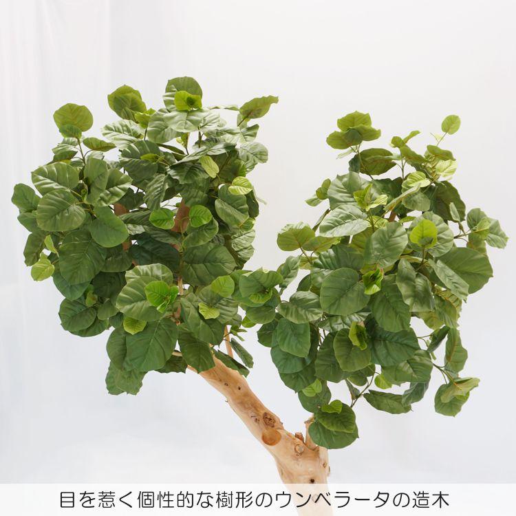 大型 ウンベラータの木 高さ220cm (フェイクグリーン 造花