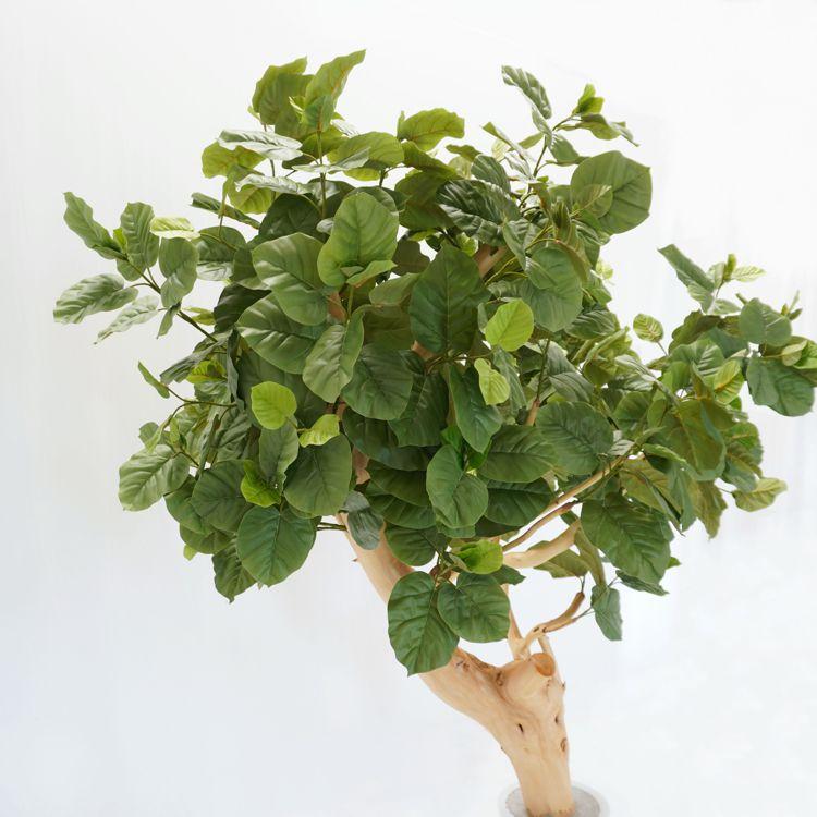 大型 ウンベラータの木 高さ220cm (フェイクグリーン 造花