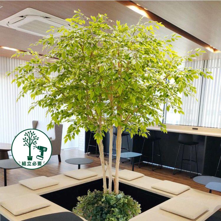 ベンジャミン ゴールドラッシュ 260cm 下草植栽付き (組立式) (造花