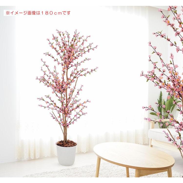 光触媒 人工観葉植物 ウォールグリーン フェイクグリーン ブラッサイア