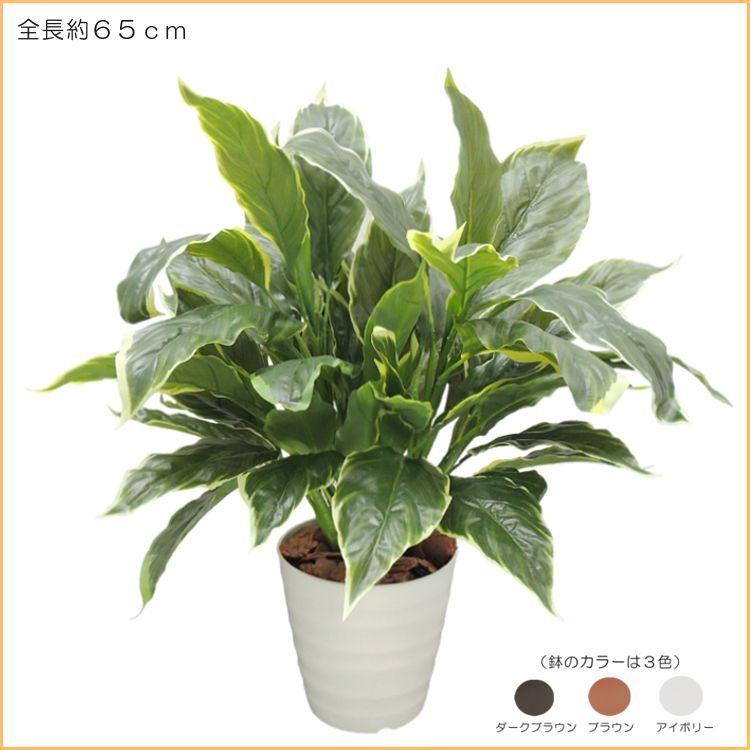 ホスタの鉢植え 高さ約65cm 造花 ギボウシ 観葉植物 インテリア おしゃれ 小型 プランター 装飾 ミニサイズ かわいい フェイクグリーン Am1414x2 造花観葉植物専門店ビワールデコ 通販 Yahoo ショッピング