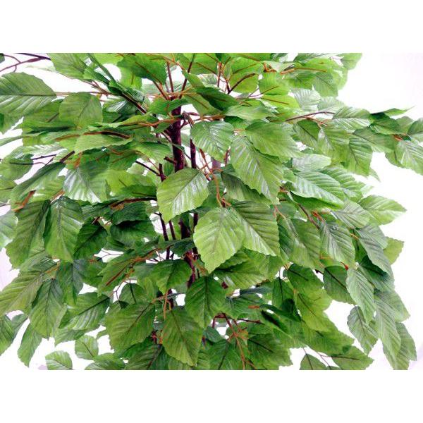 ブナツリー 150cm (造花 人工観葉植物 緑 和風 インテリア 造園 庭園 坪庭 1.5m 山毛欅) ブナツリー インテリア 和風 山毛欅) 緑 (造花 坪庭 150cm 人工観葉植物 造園 1.5m 庭園 L2272904473(20196円)