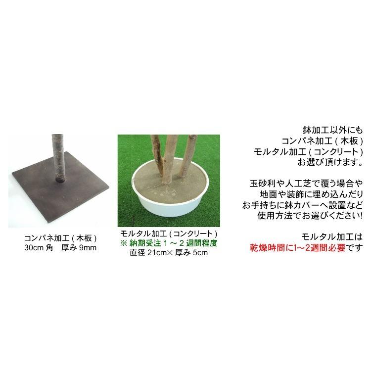 ブナツリー 150cm (造花 人工観葉植物 緑 和風 インテリア 造園 庭園 坪庭 1.5m 山毛欅) ブナツリー インテリア 和風 山毛欅) 緑 (造花 坪庭 150cm 人工観葉植物 造園 1.5m 庭園 L2272904473(20196円)