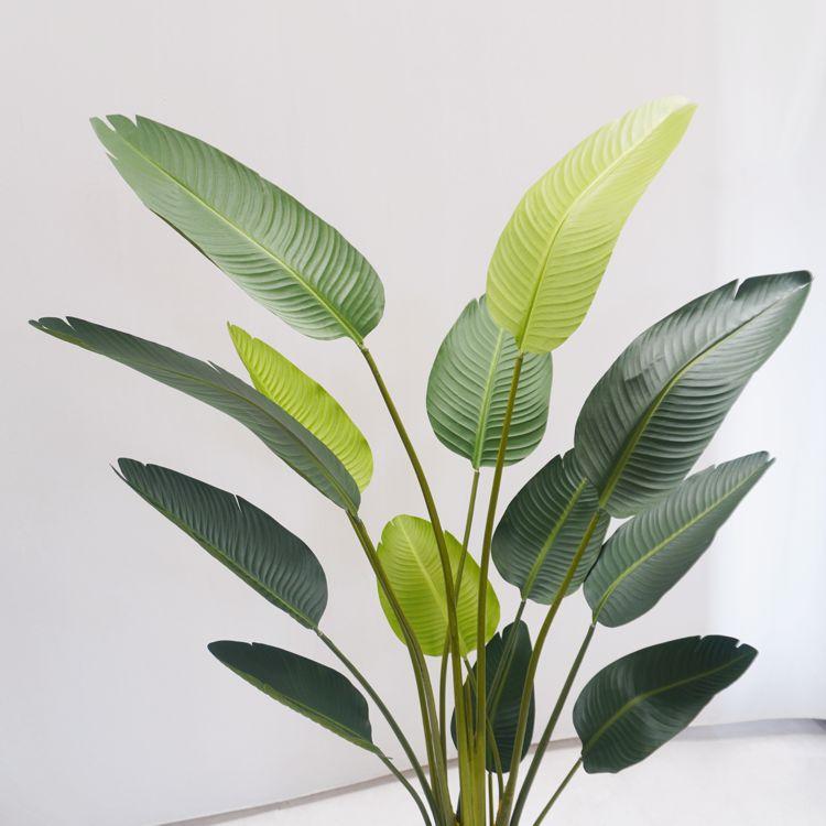 オーガスタ 180cm (ストレリチア 人工観葉植物 造花 人工樹木 フェイク