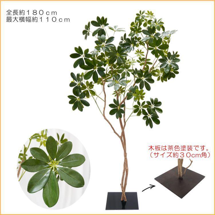 注文 キャンセル 自然なシェフレラ 180cm 造花 インテリア 大型 おしゃれ 室内 人工 観葉植物 フェイク グリーン 作り物 装飾 ディスプレイ 店舗 1 8m 売り出しネット Themasterofarts Com
