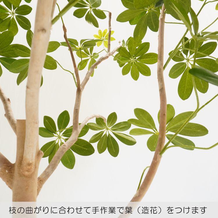 カポック 200cm (フェイクグリーン 造花 シェフレラ インテリア 大型 