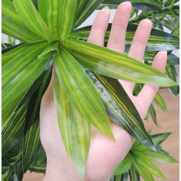 ソングオブジャマイカ 高さ150cm (ドラセナ フェイクグリーン リアル