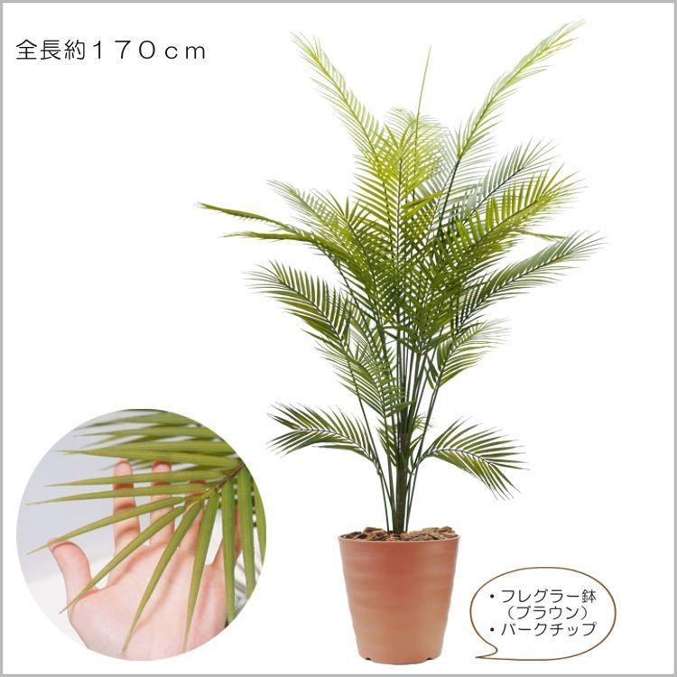 茨城県産超硬質焼成赤玉土 細粒 1L 1mm-2mm | VIIIXAGONO -エクサゴノ