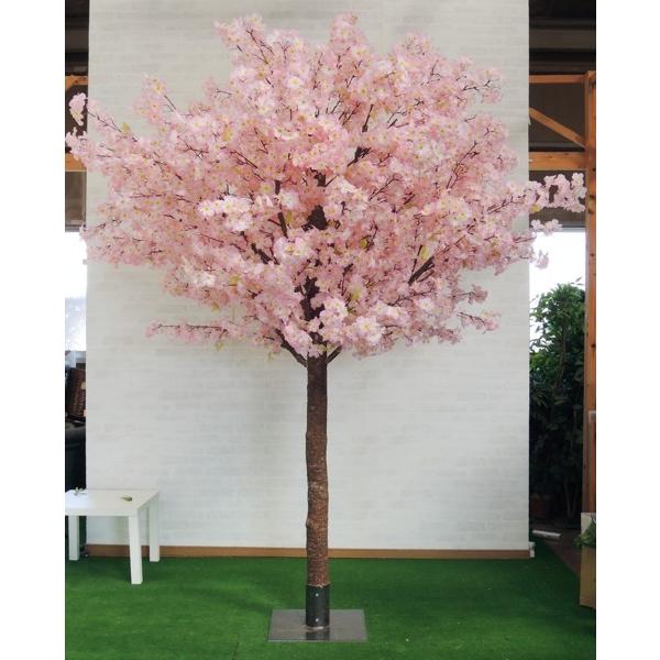 高さ 250cm 特注 桜 の木 組み立て式 人工 造花 サクラ インテリア 分割式 おしゃれ 室内 イベント 春 装飾 Amh108 1n280 造花観葉植物専門店ビワールデコ 通販 Yahoo ショッピング