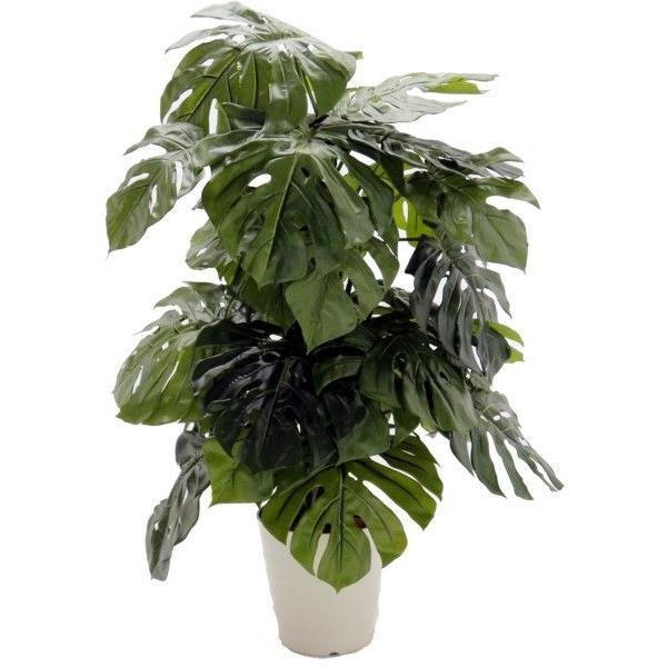 デラックス ミニモンステラ インテリア グリーン 造花 観葉植物 鉢植え フェイク 装飾 植栽 1cm Am247ak 7 1 造花観葉植物専門店ビワールデコ 通販 Yahoo ショッピング