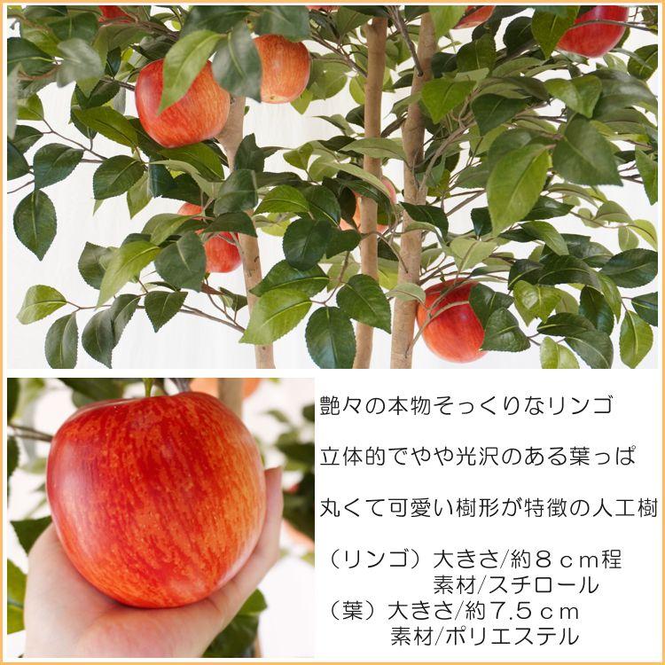 りんご の木 株立ち3本立 実付 200cm (フェイクグリーン リンゴ 林檎