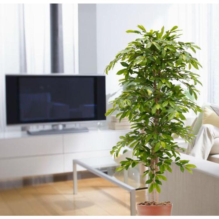 造花　高い　フェイクグリーン　170センチ グリーンジャック 170cm (フェイクグリーン 造花 オーストラリア