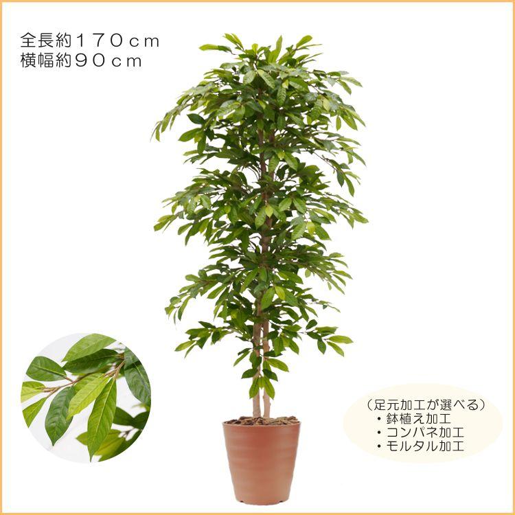 造花　高い　フェイクグリーン　170センチ グリーンジャック 170cm (フェイクグリーン 造花 オーストラリア