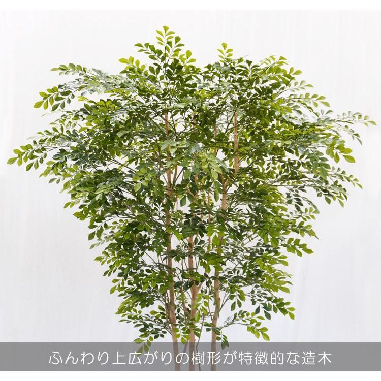 シマトネリコ 200cm 上広がりバージョン (人工 観葉植物 造花