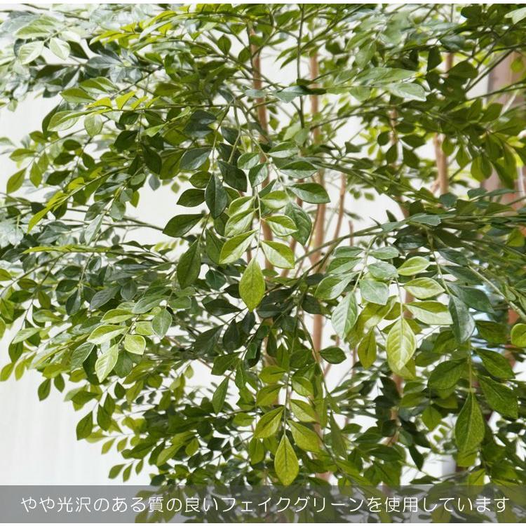 シマトネリコ 200cm 上広がりバージョン (人工 観葉植物 造花