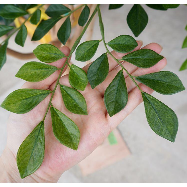 シマトネリコ 200cm 上広がりバージョン (人工 観葉植物 造花