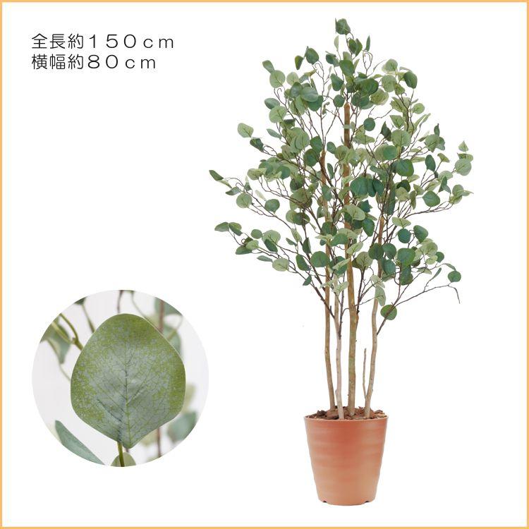 ユーカリ ポポラス 150cm (フェイク グリーン 造花 ハートリーフ ユーカリ ポポラス 150cm (フェイク グリーン 造花 ハートリーフ
