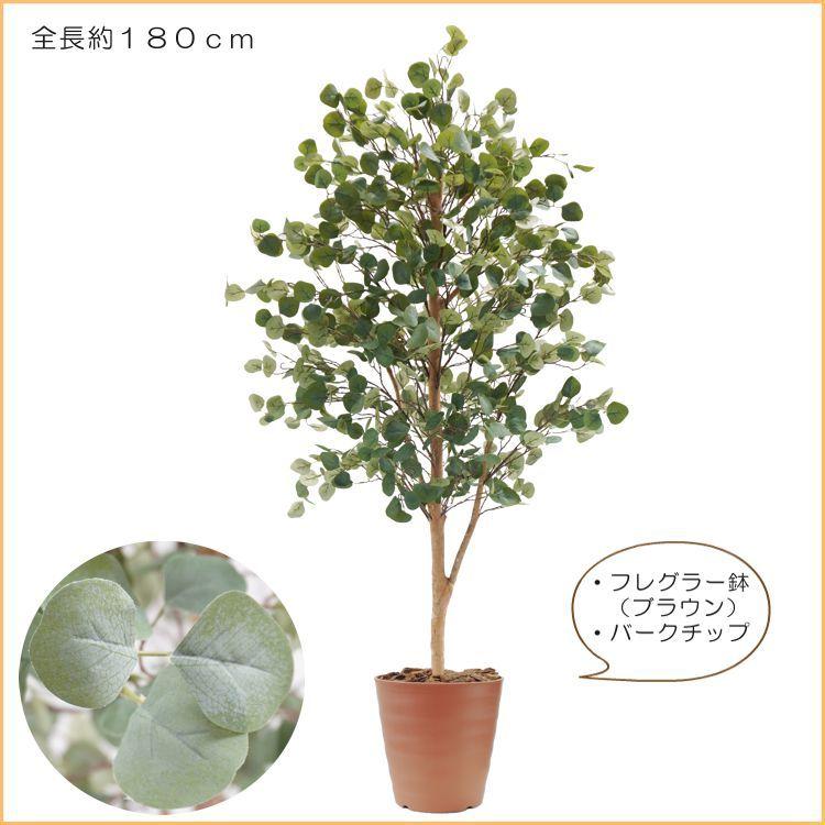 銀白緑色の葉っぱ ユーカリ 180cm (造花 インテリア おしゃれ 室内