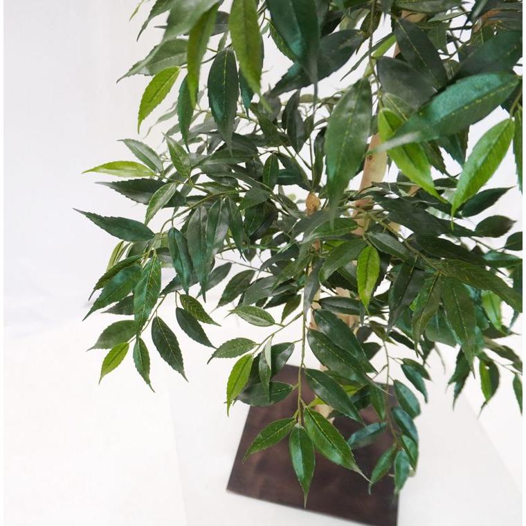 シラカシ 100cm (造花 人工観葉植物 白樫 和風 インテリア 日本 庭園 坪庭 コナラ アラカシ イチイガシ)_5