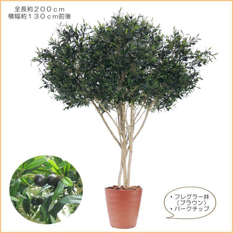 オリーブ アンブレラタイプ 200cm (人工観葉植物 大型 大きい 傘状