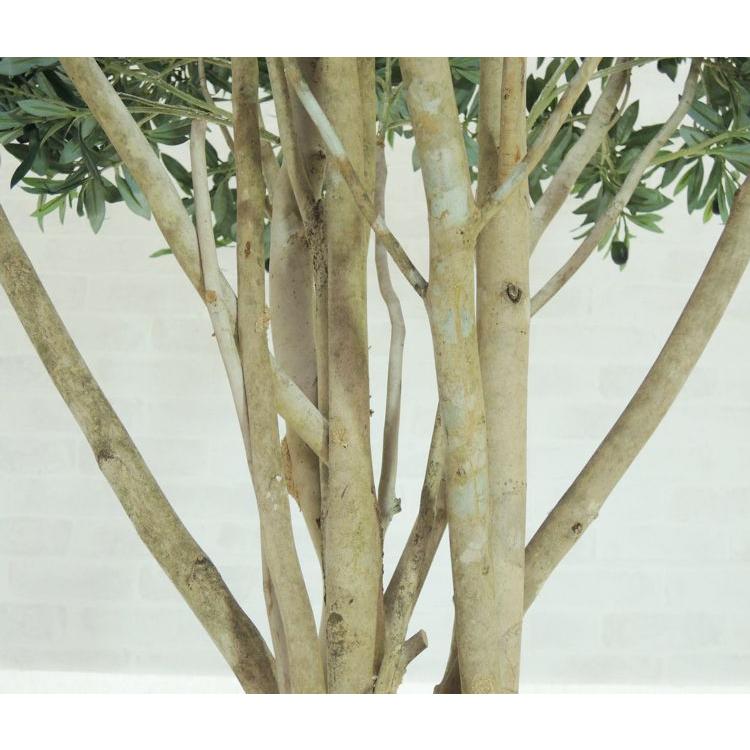 オリーブ アンブレラタイプ 200cm (人工観葉植物 大型 大きい 傘状