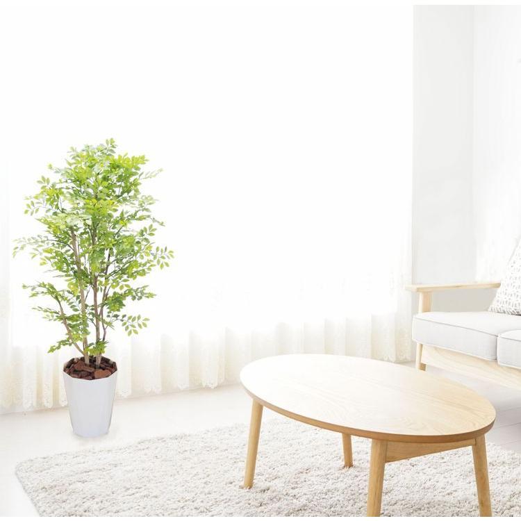シマトネリコ の木 明るい葉 120cm (花 観葉植物 インテリア コーディネート 装飾 プランツ アイテム ディスプレイ おしゃれ 室内 フェイク)