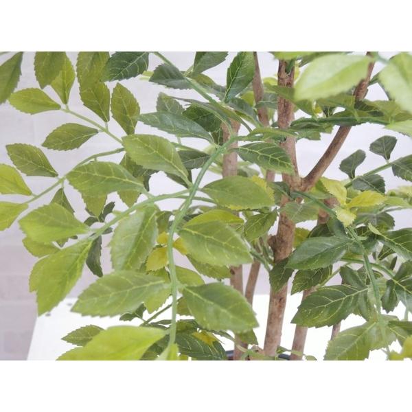 シマトネリコ 高さ60cm (明るい葉の色 造花 観葉植物 インテリア コーディネート 装飾 アイテム プランツ ディスプレイ 飾り)の画像