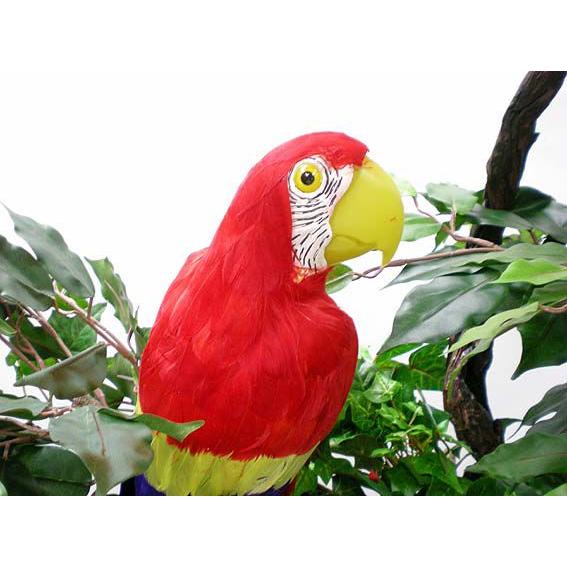 パロット 70cm レッド オウム 鳥 飾り ディスプレイ用品 装飾品 模型 オブジェ インコ Am35 1r 造花観葉植物専門店ビワールデコ 通販 Yahoo ショッピング