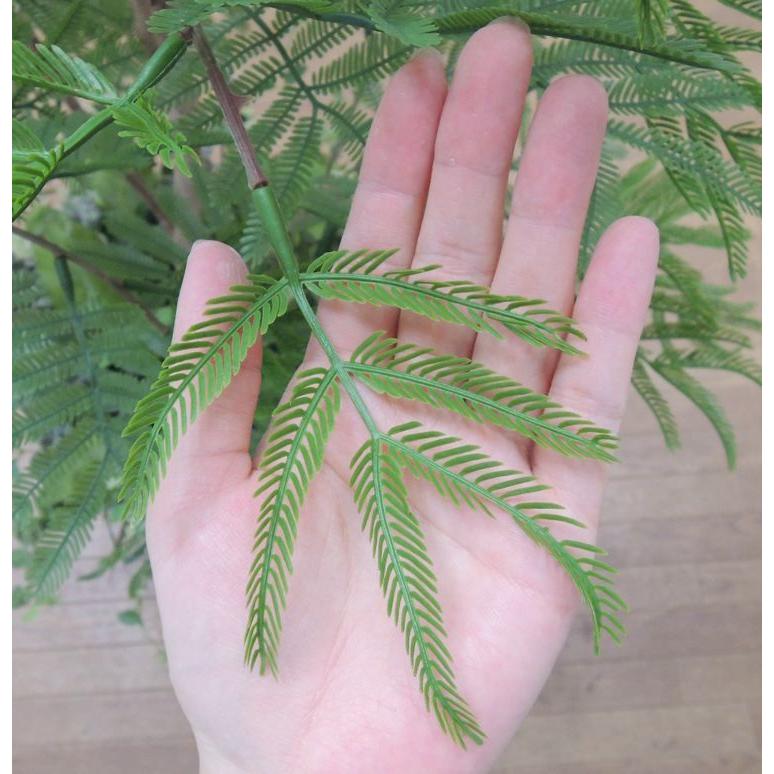 【極美品】 エバーフレッシュ 鉢植え 全長120cm (ネムノキ 造花 インテリア おしゃれ ねむの木 室内 フェイク グリーン 装飾 ディスプレイ 飾り 空間演出) 【IQY1768735546】(61732円)