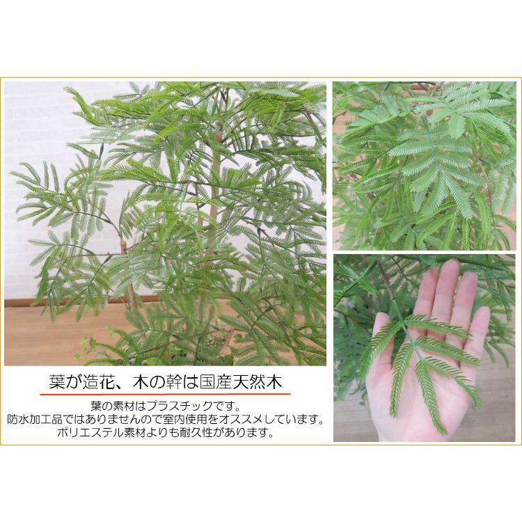 【極美品】 エバーフレッシュ 鉢植え 全長120cm (ネムノキ 造花 インテリア おしゃれ ねむの木 室内 フェイク グリーン 装飾 ディスプレイ 飾り 空間演出) 【IQY1768735546】(61732円)
