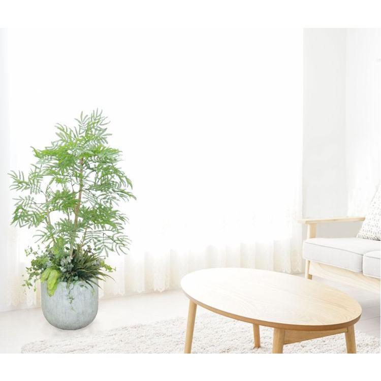 【極美品】 エバーフレッシュ 鉢植え 全長120cm (ネムノキ 造花 インテリア おしゃれ ねむの木 室内 フェイク グリーン 装飾 ディスプレイ 飾り 空間演出) 【IQY1768735546】(61732円)