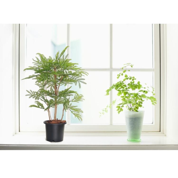 ネムノキ 高さ60cm (インテリア グリーン 造花 観葉植物 装飾 飾り