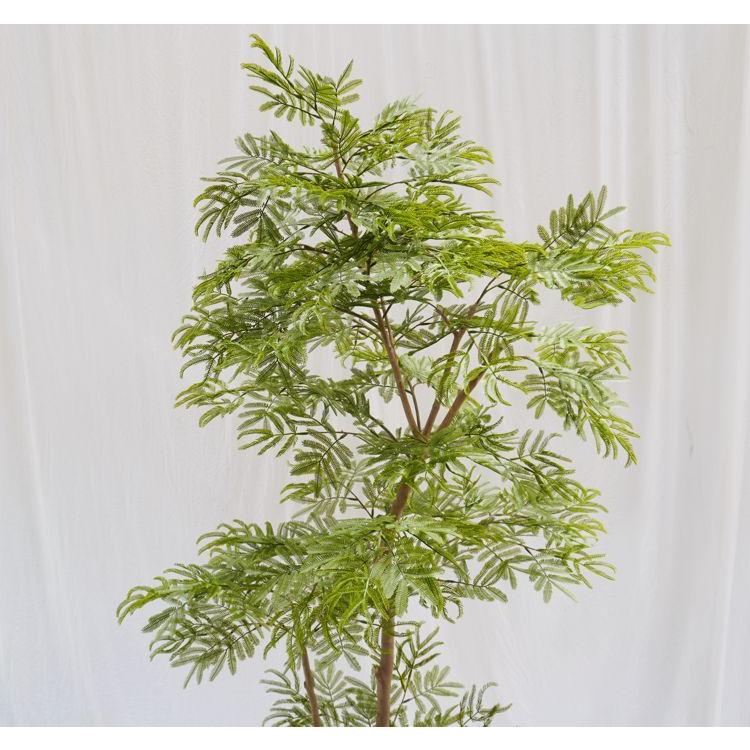 エバーフレッシュ 180cm (ネムノキ 造花 インテリア 人工 観葉