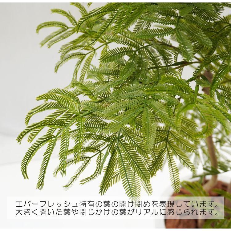 エバーフレッシュ 180cm (ネムノキ 造花 インテリア 人工 観葉