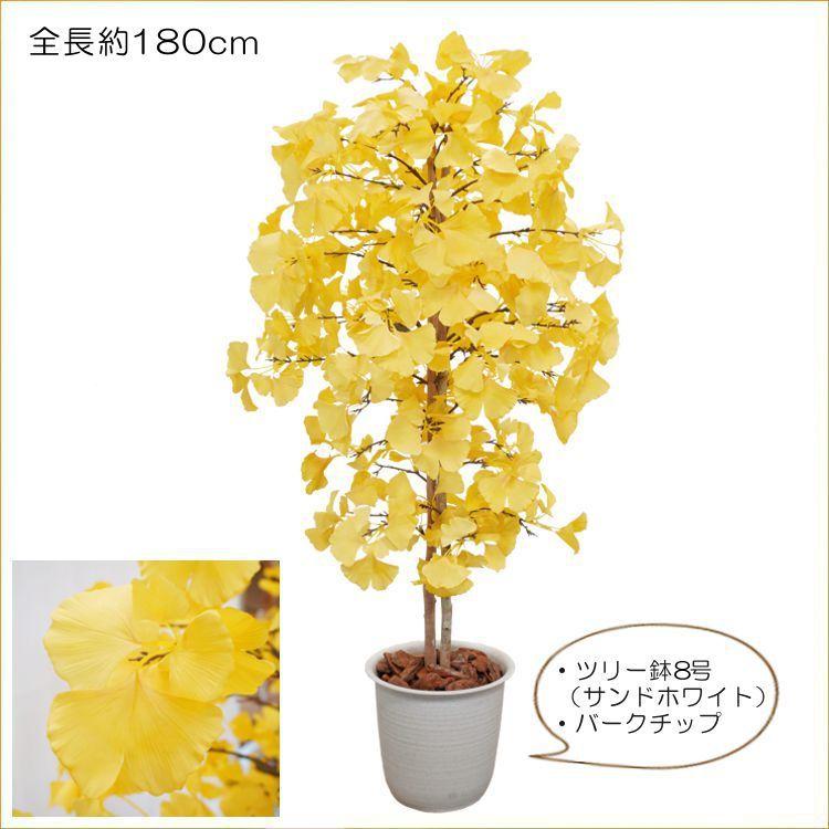イチョウ ツリー 180cm (造花 人工観葉植物 紅葉 黄色 イエロー 和風