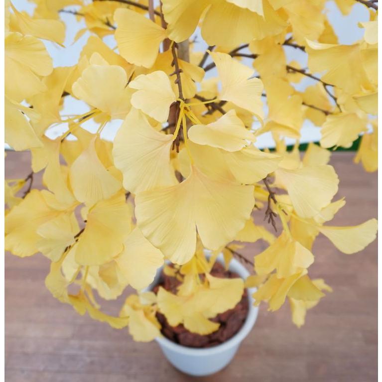 イチョウ ツリー 180cm (造花 人工観葉植物 紅葉 黄色 イエロー 和風