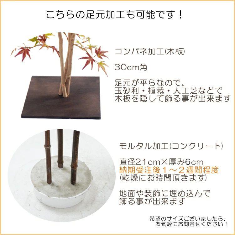 イチョウ ツリー 180cm (造花 人工観葉植物 紅葉 黄色 イエロー 和風 銀杏 ギンナン ガーデニング 造園 庭園 坪庭 インテリア_9