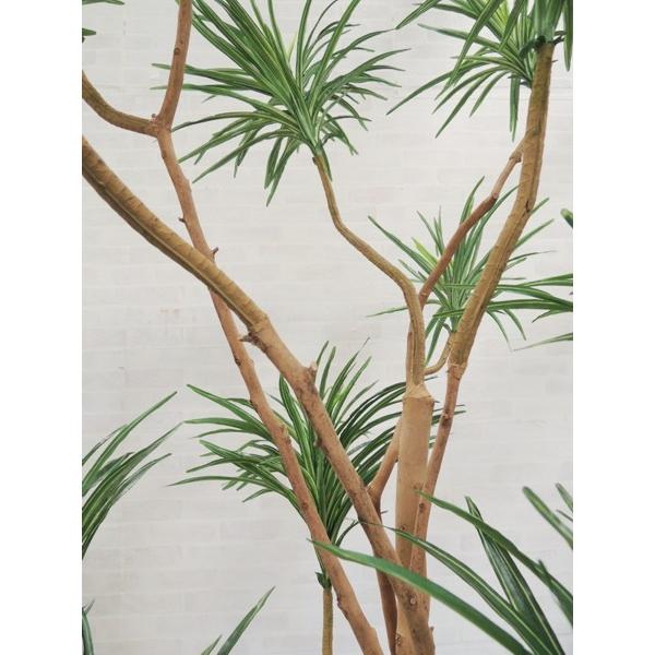 新入荷！ 大型サイズ 人工観葉植物 ユッカ 高さ240cm(インテリア 造花 樹木 造木 フェイクグリーン 室内向け ドラセナ) 【GM1362795269】(47564円)
