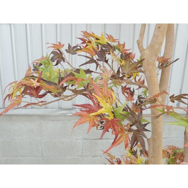 大型サイズ 紅葉立ち木 高さ300cm(モミジ 赤 人工観葉植物 造花 樹木 造木 秋 オータム インテリア 装飾 植栽 イベント ディスプレイ)の画像