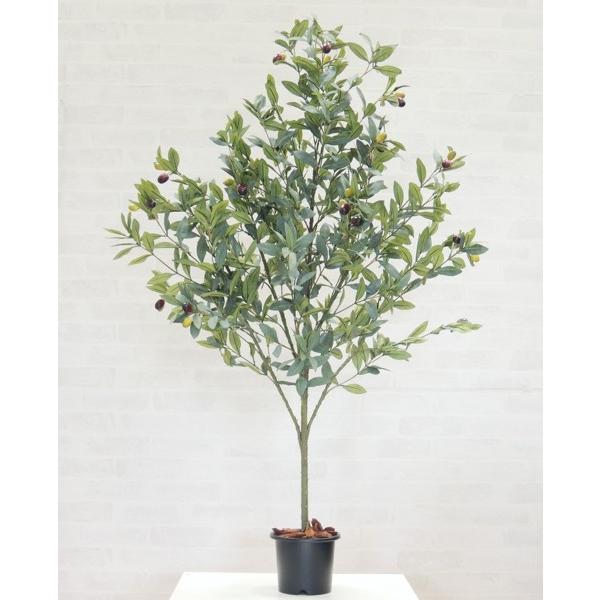 格安 130cm オリーブツリー 簡易鉢付き 造花 インテリア 観葉植物 おしゃれ 小型 グリーン プラント 装飾 フェイク Am5034 130 造花観葉植物専門店ビワールデコ 通販 Yahoo ショッピング レビューで送料無料 Www Maxipiso Com Ar
