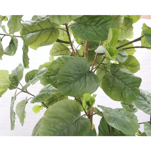 ウンベラータ 210cm (鉢植え 造花 インテリア 観葉植物 おしゃれ 大型 