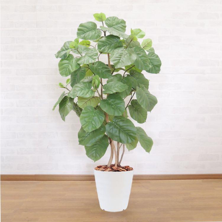 31 Off のウンベラータ株立ち150cm 鉢植え 人工観葉 フェイクグリーン インテリア 鉢植え グリーン 造花 花 ガーデニング 観葉植物 おしゃれ 大型 グリーン プラント Am5138a 150 造花観葉植物専門店ビワールデコ 激安卸し売り