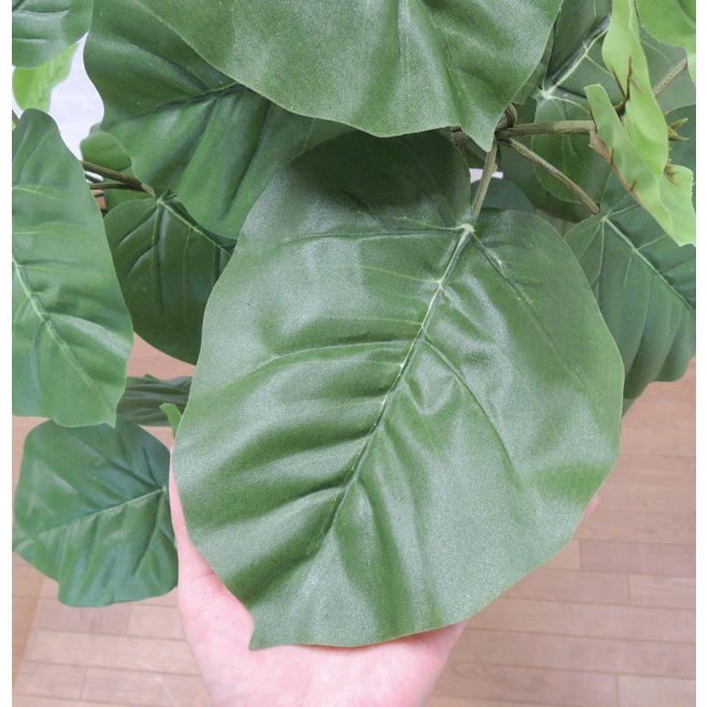 ウンベラータ 株立ち 180cm (フェイクグリーン リアル 本物 そっくり