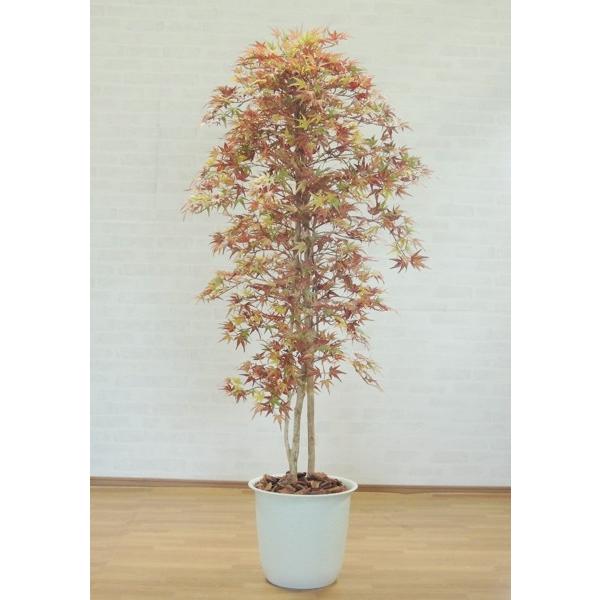 秋色の紅葉 180cm (人工 観葉植物 インテリア 造花 オータム モミジ 1.8m もみじ 落葉樹 カエデ 楓)