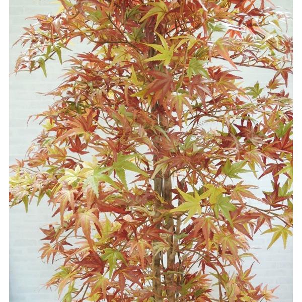 秋色の紅葉 180cm (人工 観葉植物 インテリア 造花 オータム モミジ 1.8m もみじ 落葉樹 カエデ 楓)_1