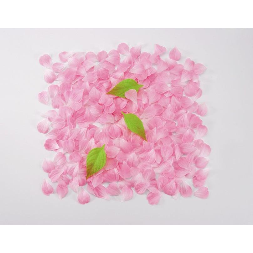サクラの花びら 2袋入り ピンク 造花 桜 インテリアフェイクグリーン 春 ウエディング フラワーシャワー 1パック約600枚入り Am7009pk 造花観葉植物専門店ビワールデコ 通販 Yahoo ショッピング
