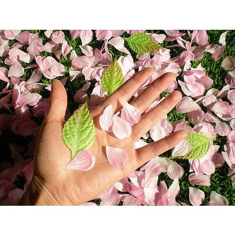 サクラの花びら 2袋入り ピンク 造花 桜 インテリアフェイクグリーン 春 ウエディング フラワーシャワー 1パック約600枚入り Am7009pk 造花観葉植物専門店ビワールデコ 通販 Yahoo ショッピング