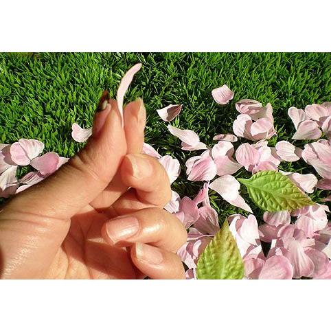 サクラの花びら 2袋入り ピンク 造花 桜 インテリアフェイクグリーン 春 ウエディング フラワーシャワー 1パック約600枚入り Am7009pk 造花観葉植物専門店ビワールデコ 通販 Yahoo ショッピング