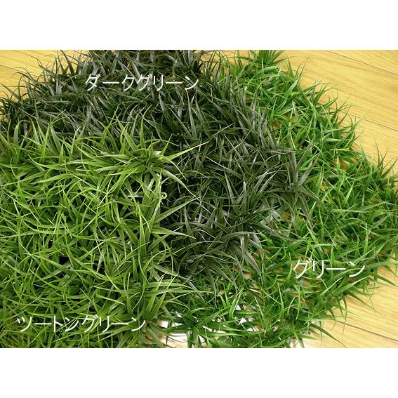 人工芝 ロンググラスマット 1枚 ツートングリーン 造花 前景用水草 芝生 Diy 壁面装飾 フェイクグリーン 屋外使用可 Am7024g 造花観葉植物専門店ビワールデコ 通販 Yahoo ショッピング